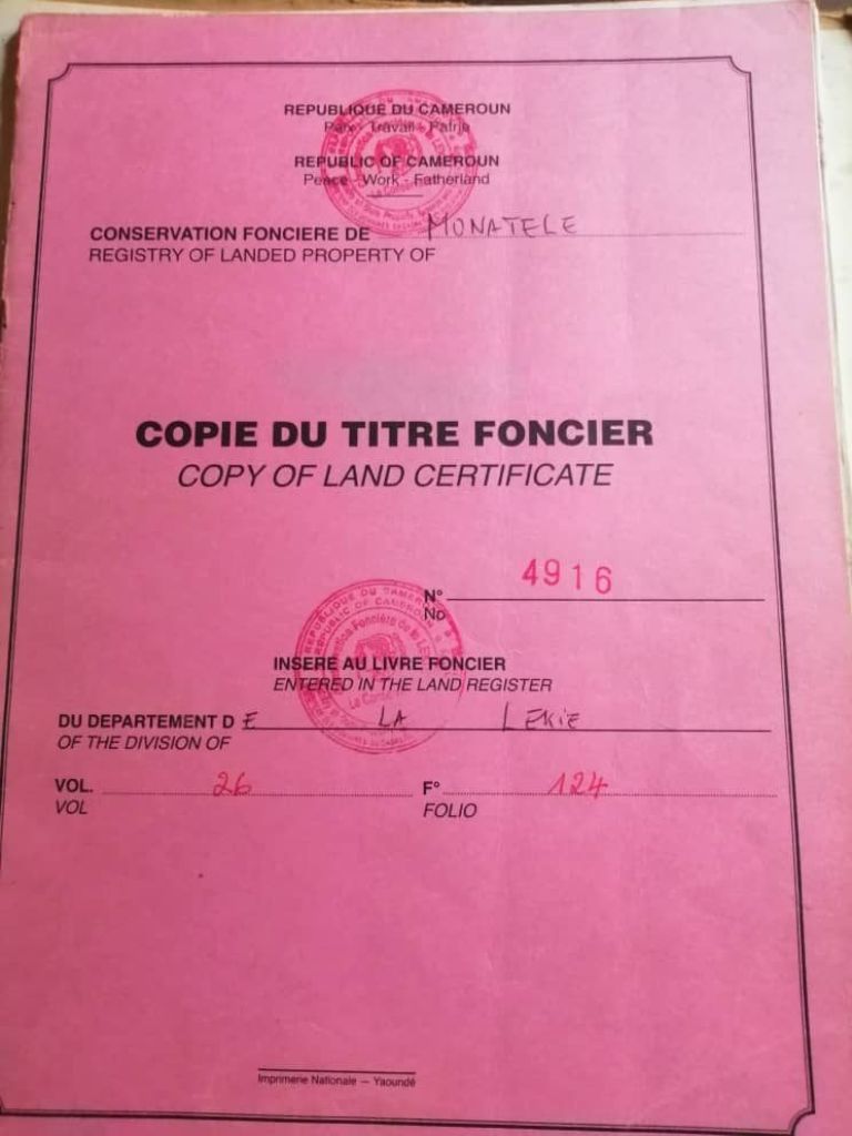 Land à Chefferie Etoudi, Leboudi, Yaoundé, photo 1