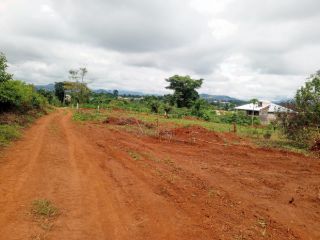 Land à Chefferie Etoudi, Leboudi, Yaoundé, photo 2